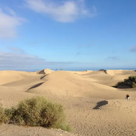 With A View - Playa Del Ingles, Taidia